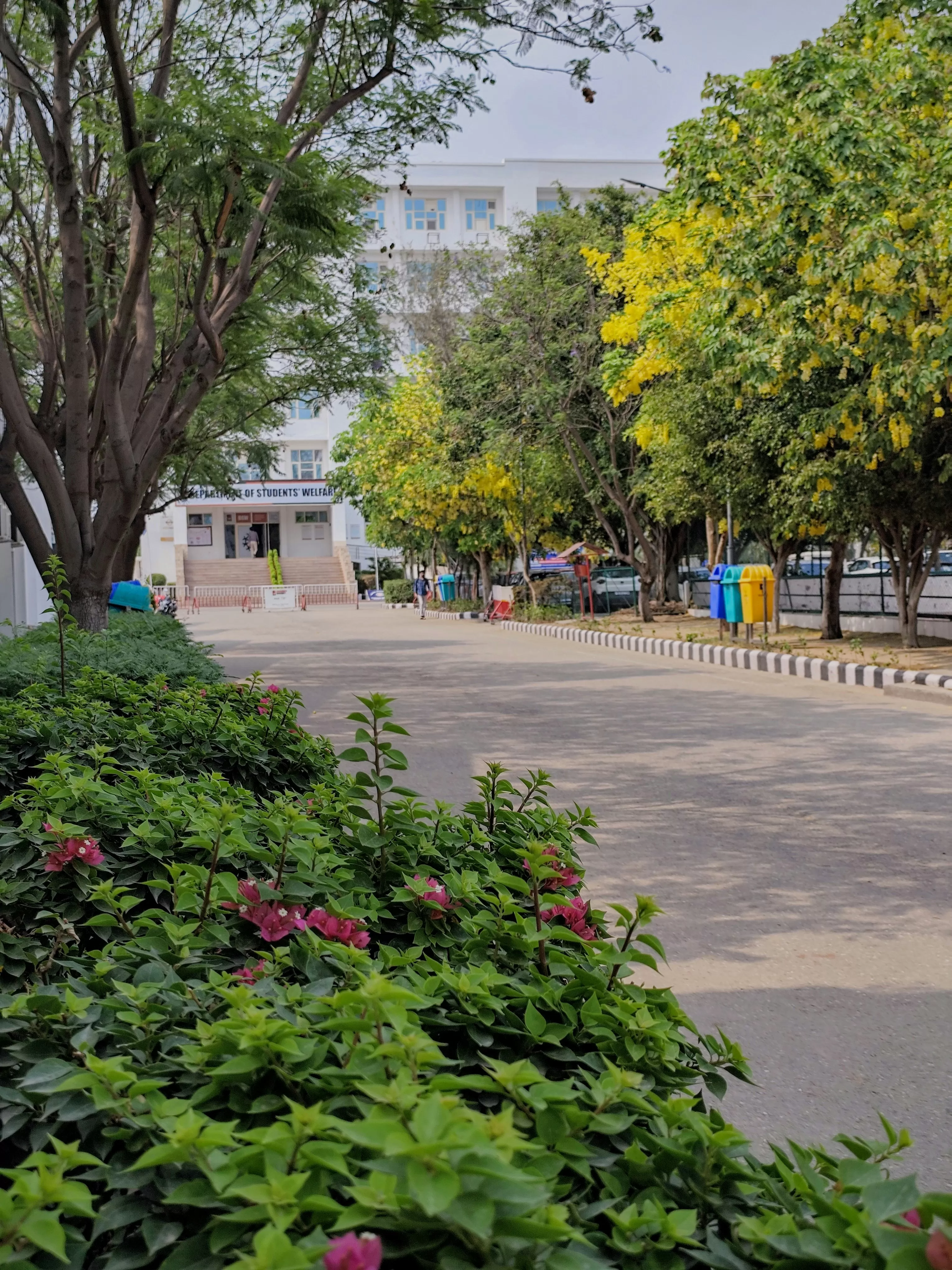 What makes Rose Garden, Chandigarh so special?